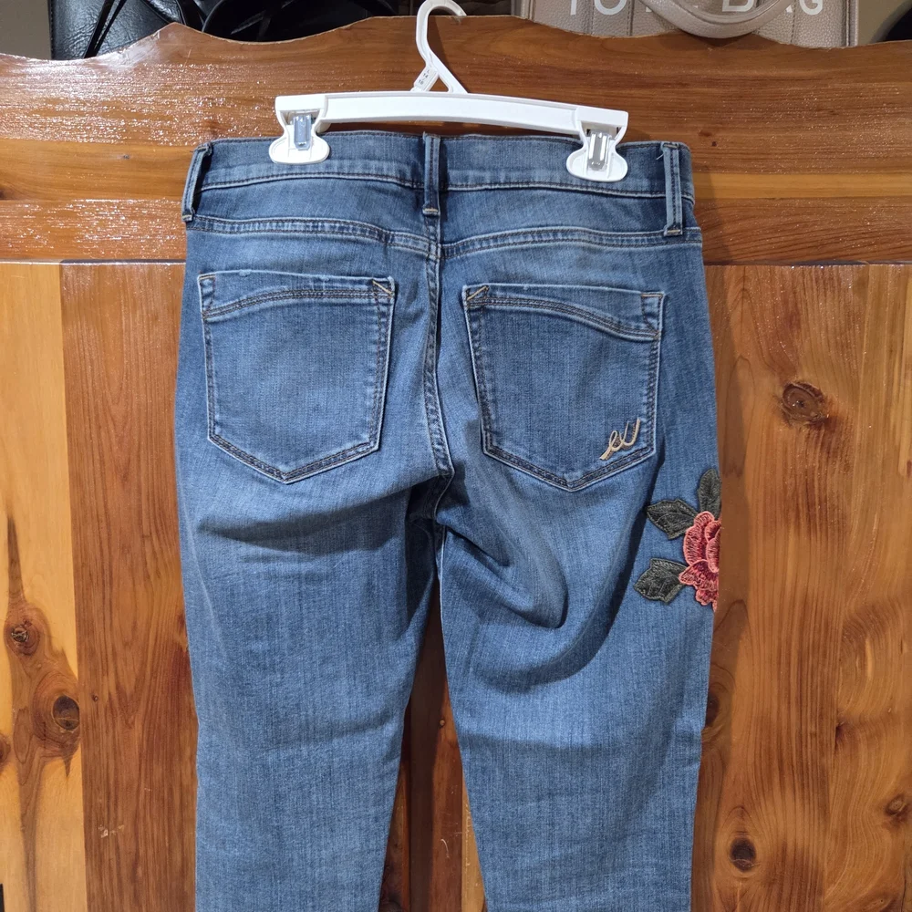 Express Blue Jeans with Red Floral Embroidery - Picture 5 of 10
